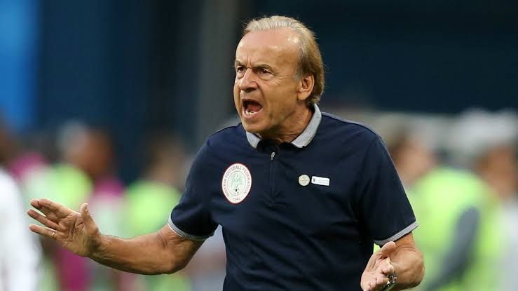 Super Eagles World Cup Group Will Be Difficult – Coach Gernot Rohr