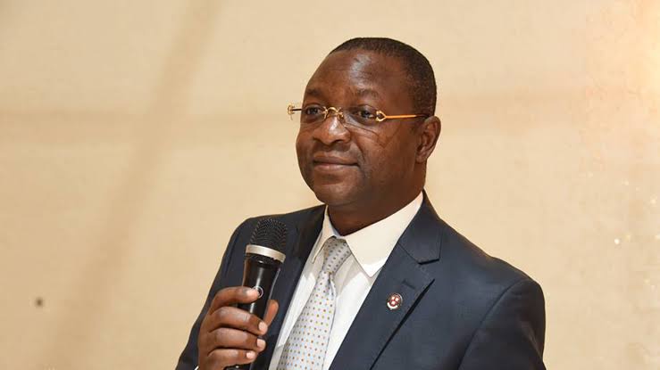 Minister For Sports Advice NFF On Best Way To Approach Nigerian Players Born Abroad