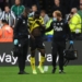 Injury- Watford Rule Etebo Out Of Super Eagles Squad For Next Year Africa Cup Of Nations