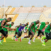 Leicester City Coach Rule Ndidi Out Of Super Eagles Team For Last Round Of World Cup Qualifiers, Iwobi In