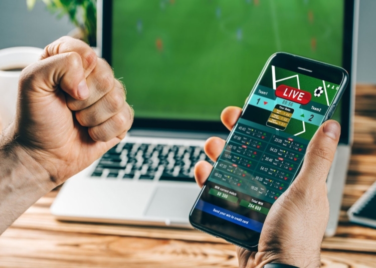 Factors to Consider When Choosing the Best Betting Site