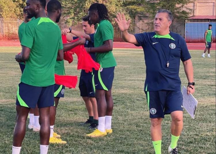 Algeria Vs Nigeria- Akpoguma Tops List Of Five Super Eagles Players With A Point To Prove To Peseiro