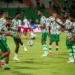 Super Eagles Lineup For AFCON Qualifiers Against Guinea Bissau: Peseiro Picks Ndidi As Captain