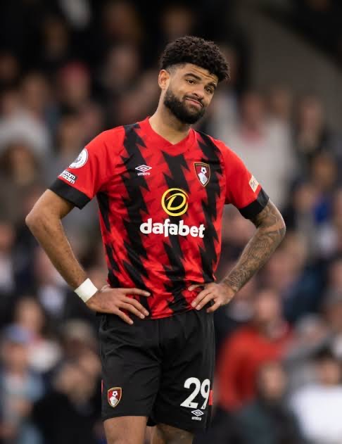 You Should Be Playing For Nigeria Not Denmark- Ex Super Eagles Captain Tells Bournemouth Star Midfielder