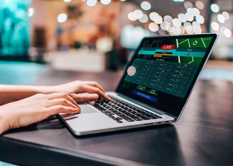 Incredible Factors to Consider When Choosing a Betting Website