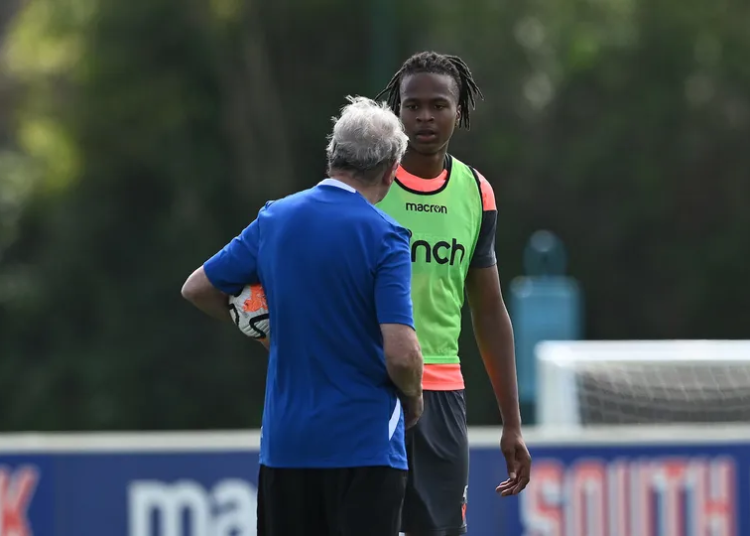 3 Goals In Six Games: Crystal Palace Coach Hands Nigeria U20 Invitee First Team Spot