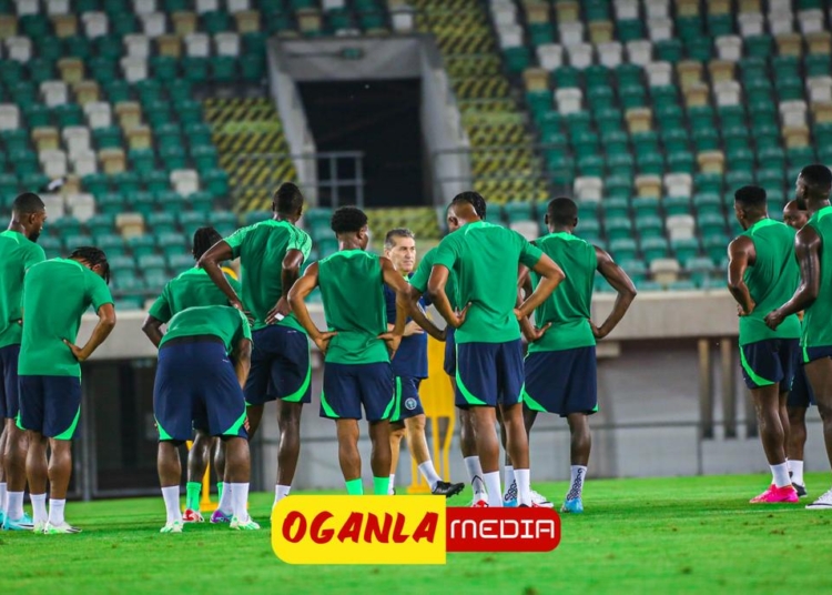 Super Eagles Likely XI- Moffi Leads Attack, Iheanacho On The Right, Aina Starts Ahead Of Osayi-Samuel
