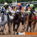 Betbonanza mobile application for sports betting in Nigeria