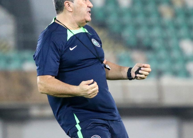 We Will Sack Him – NFF Chief Provides Update On Future Of Super Eagles Coach Peseiro