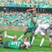 I Won’t Go Into The Pitch And Score – Peseiro Laments Osimhen’s Wastefulness Against Equatorial Guinea