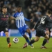 He Will Play For Nigeria – Brighton Defender Keen On Hearing From New Super Eagles Coach