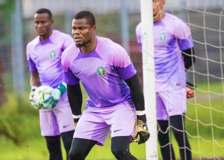 It’s A Headache – Super Eagles Coach Speaks On Rivalry Between Okoye And Nwabali For Number 1 Spot
