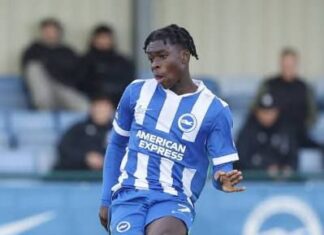 I Am A Nigerian – Brighton Striker Opens Up On Super Eagles Chance