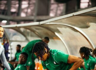 Cardiff City Defender Eyes Super Eagles Return After Promotion Success